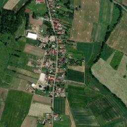 Satelita