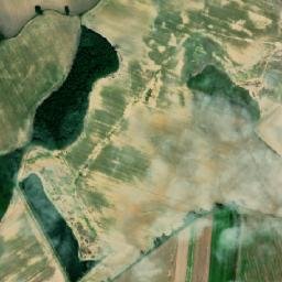 Satelita