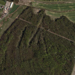 Satelita