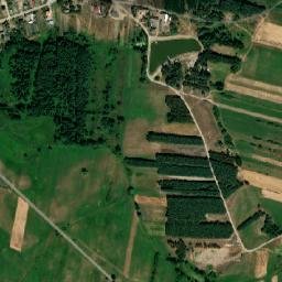 Chotcza map(satellite map)