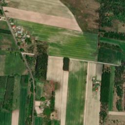 Satelita