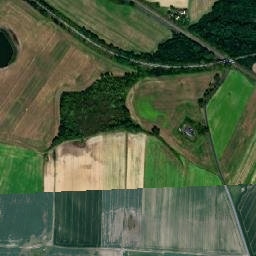 Satelita
