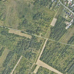 Satelita