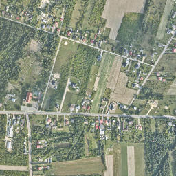 Satelita