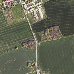 Goseck map(satellite map)