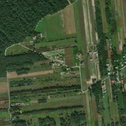 Satelita