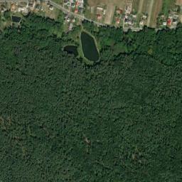 Satelita