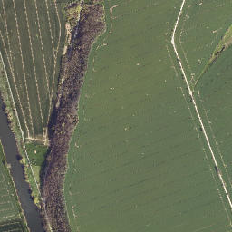 Schönburg map(satellite map)
