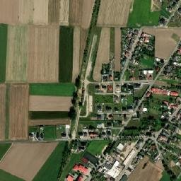 Trzcinica map(satellite map)