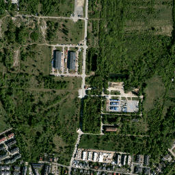 Satelita