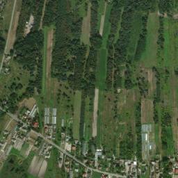 Satelita