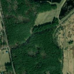 Satelita