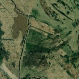 Satelita