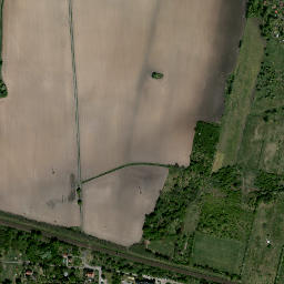 Satelita