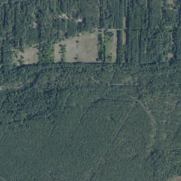 Satelita