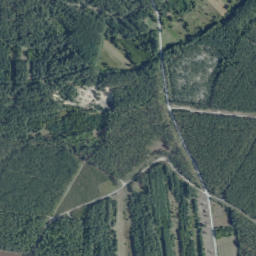 Satelita