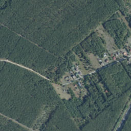 Satelita