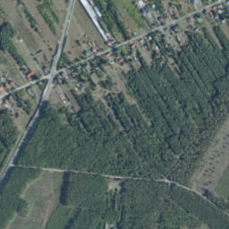 Satelita