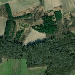 Satelita