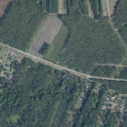 Satelita
