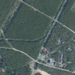 Satelita