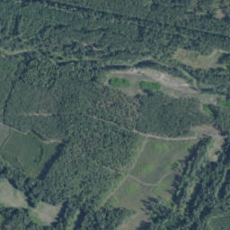 Satelita