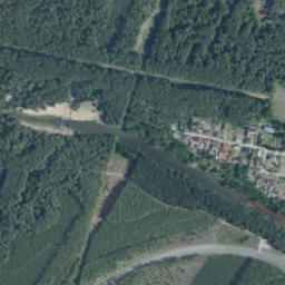 Satelita
