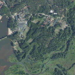 Satelita