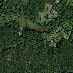 Satelita
