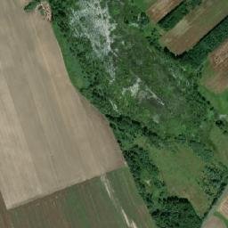 Satelita
