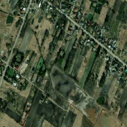 Satelita