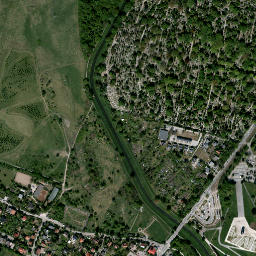Satelita