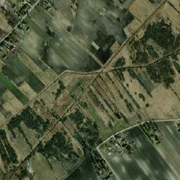 Satelita