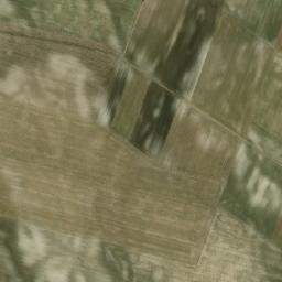 Satelita
