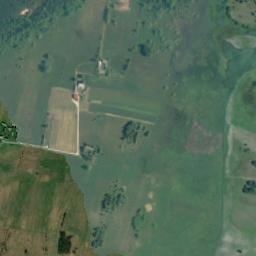 Satelita