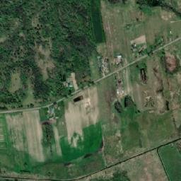 Satelita