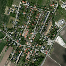 Satelita