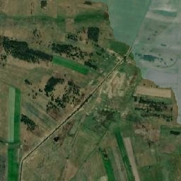 Satelita
