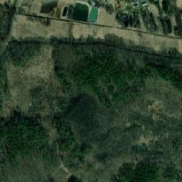 Satelita