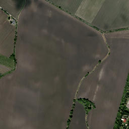 Satelita