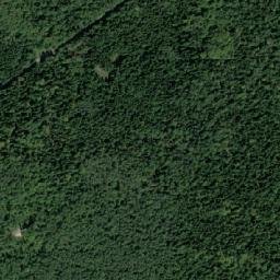Powiat skarżyski map(satellite map)