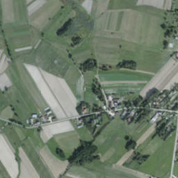 Satelita