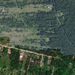 Satelita