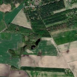 Satelita