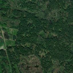 Satelita