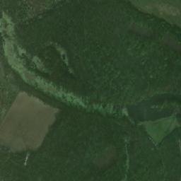Satelita