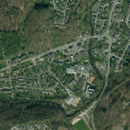 Odenthal map(satellite map)