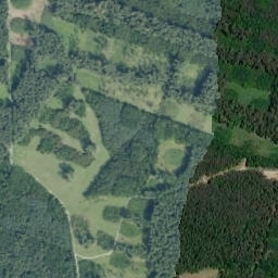 Satelita