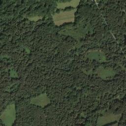 Linch Rd, Midhurst, West Sussex GU29, UK High Resolution Satellite Map