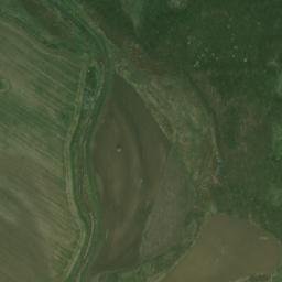 Satelita